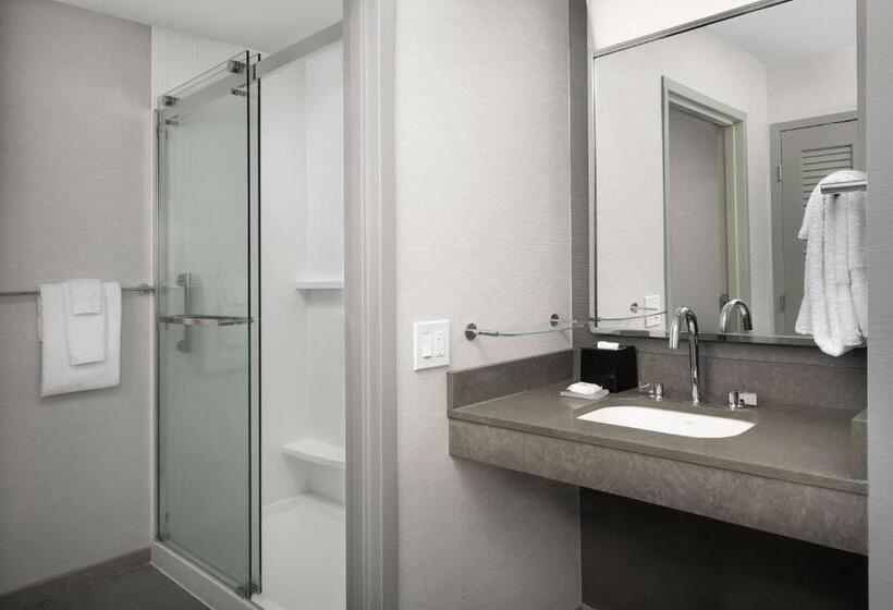 اتاق استاندارد با تخت بزرگ, Courtyard By Marriott Savannah Downtown   Historic District