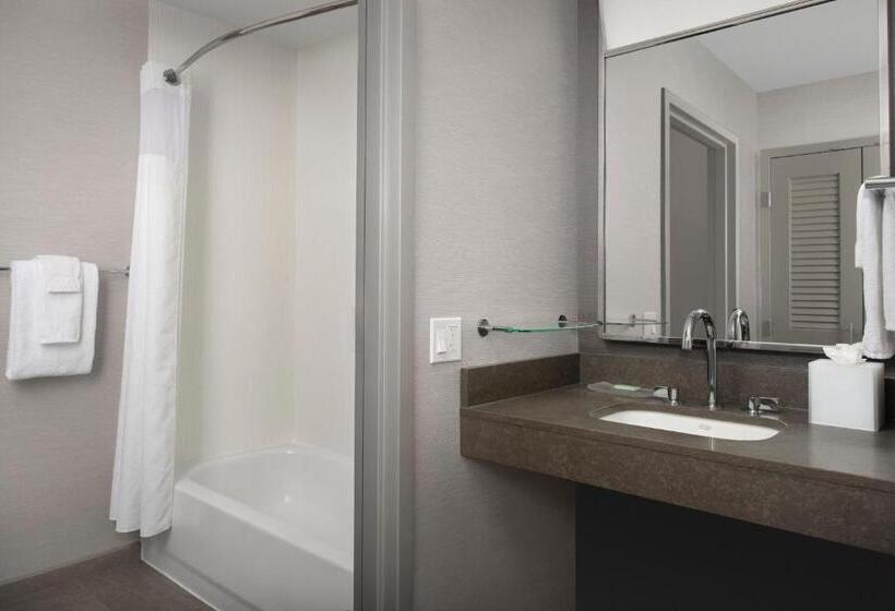 اتاق استاندارد, Courtyard By Marriott Savannah Downtown   Historic District
