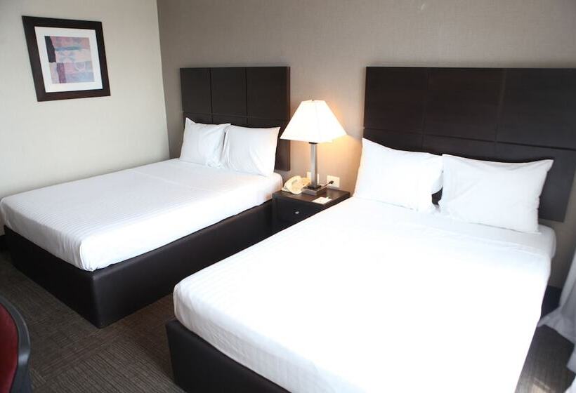 اتاق استاندارد با 2 تخت دوبل, Everest Ciudad Victoria