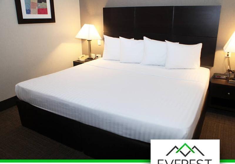 اتاق استاندارد با تخت بزرگ, Everest Ciudad Victoria