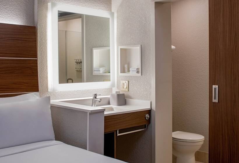 اتاق استاندارد با تخت دوبل برای معلولان, Holiday Inn Express New Orleans Downtown