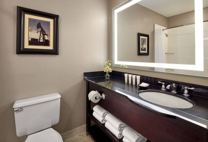 سوییت اجرایی, Hyatt Regency Tulsa Downtown