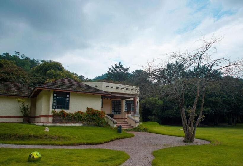 سوییت جونیور, Bosques Del Sol Suites