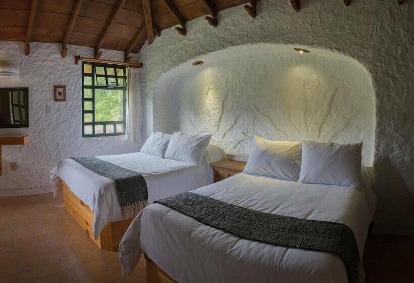 سوییت جونیور, Bosques Del Sol Suites