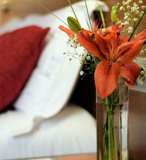اتاق استاندارد, Hospedium Hotel Casino Del Tormes