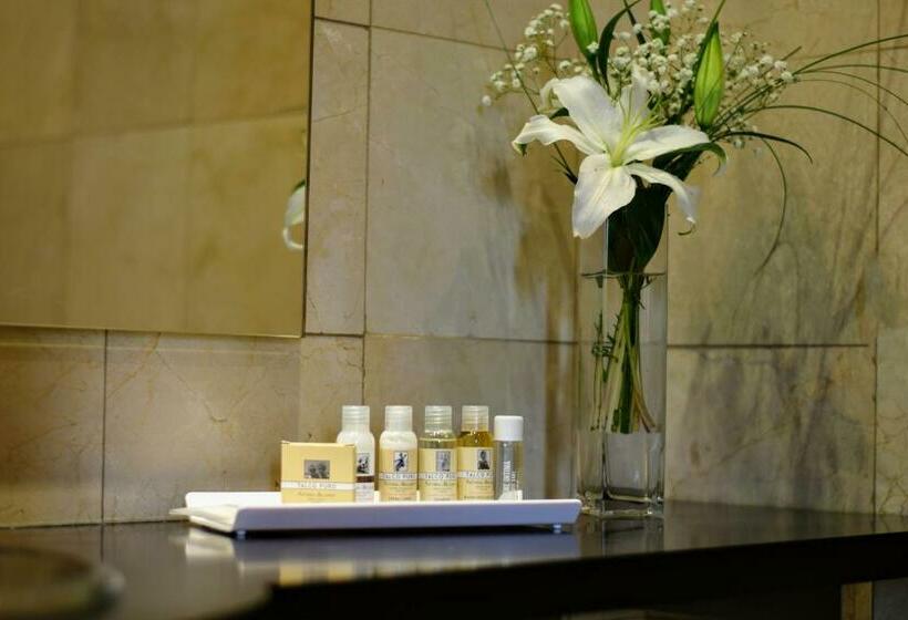 اتاق استاندارد, Hospedium Hotel Casino Del Tormes