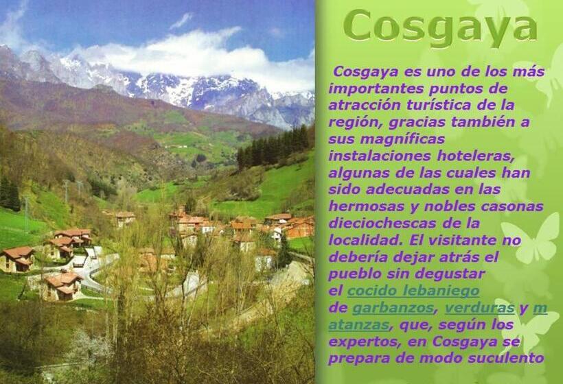 اتاق استاندارد, Cosgaya