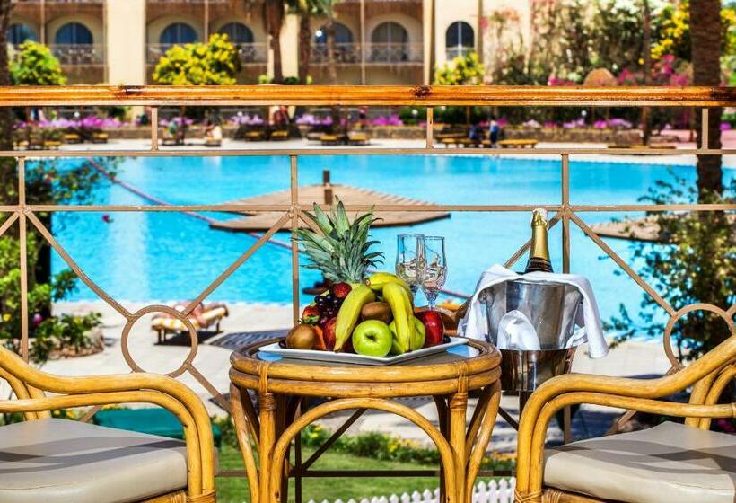 غرفة قياسية مطلّة علي حمام السباحة, Desert Rose Resort