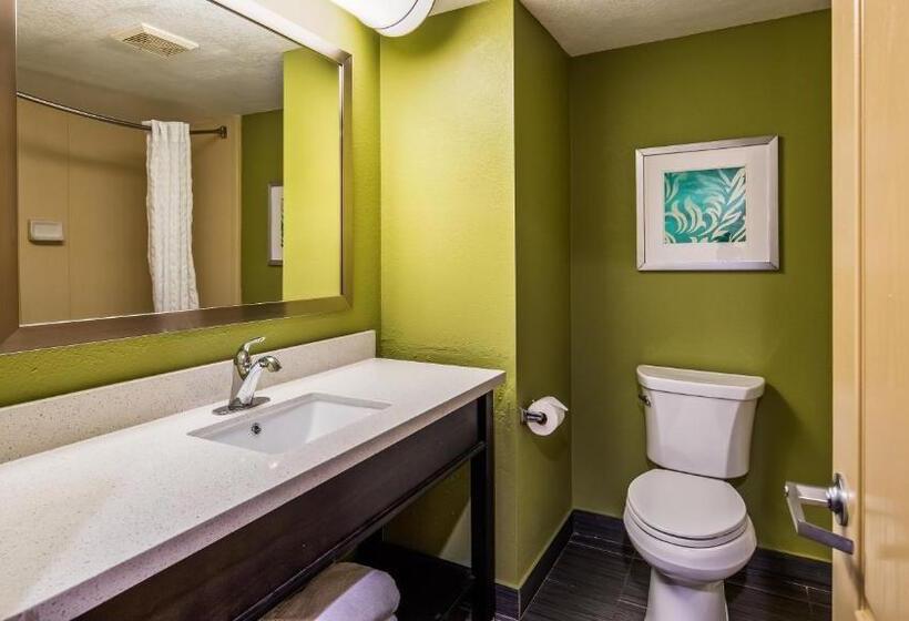 Habitación Estándar Cama King Adaptada para personas con movilidad reducida, Best Western Plus Sanford Airport Lake Mary