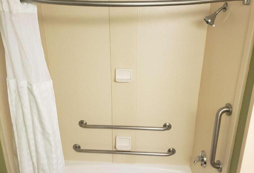 اتاق استاندارد با تخت بزرگ برای معلولان, Best Western Plus Sanford Airport/lake Mary