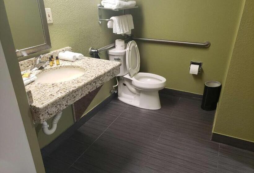 اتاق استاندارد برای معلولان, Best Western Plus Sanford Airport/lake Mary