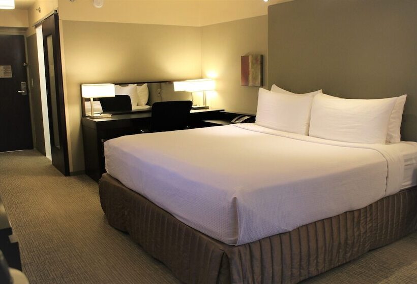 اتاق استاندارد با تخت دوبل, Crowne Plaza  Chicago West Loop