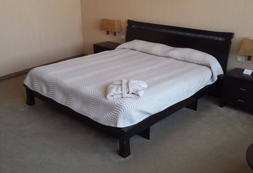 エクゼクティブルーム, Mercure Sofia City