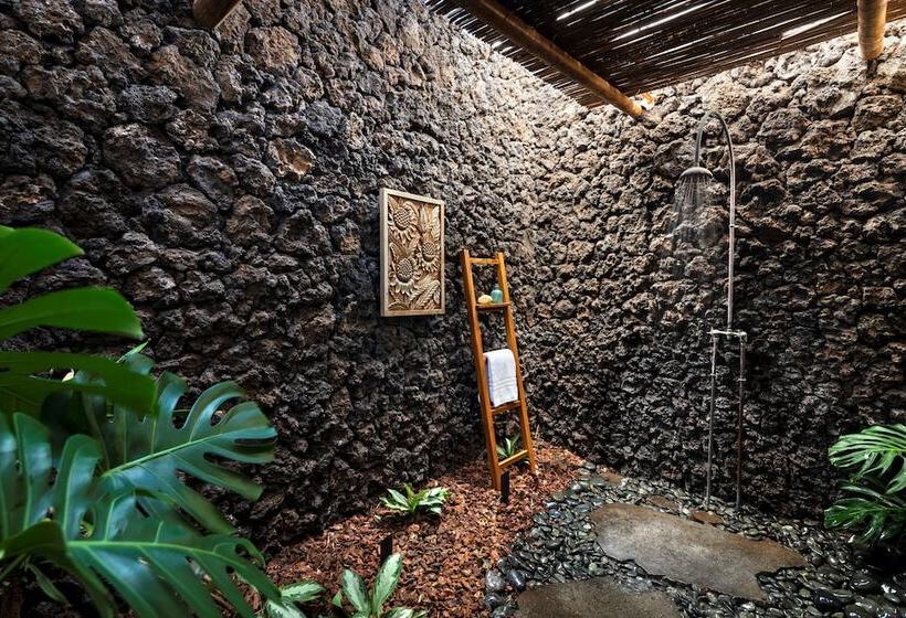 سوییت سوپریور با چشم‌انداز دریا, Four Seasons Resort Hualalai