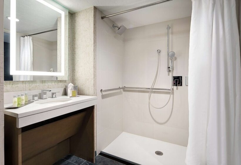 اتاق استاندارد با تخت دوبل, Highline Vail  A Doubletree By Hilton