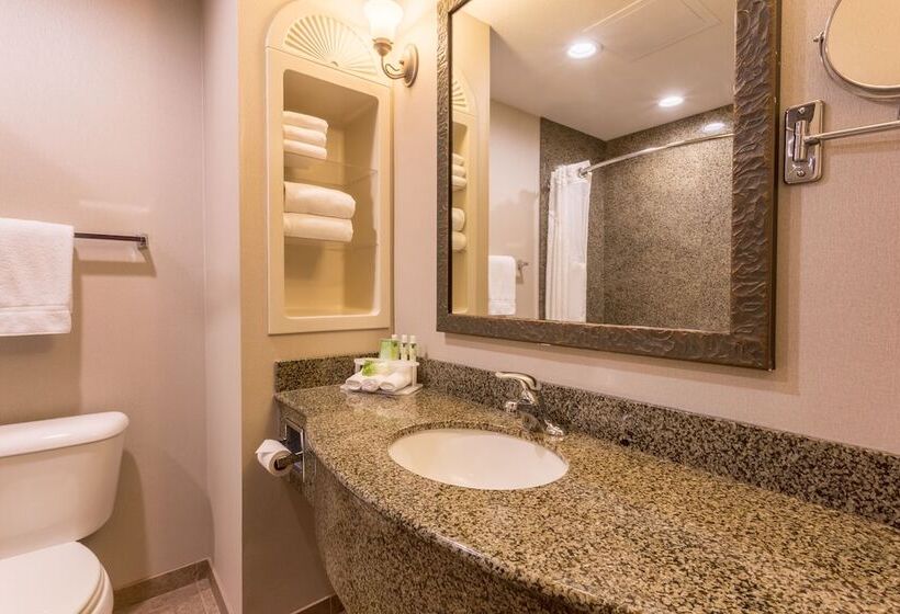 اتاق استاندارد, Holiday Inn Express Hotel & Suites Manteca, An Ihg