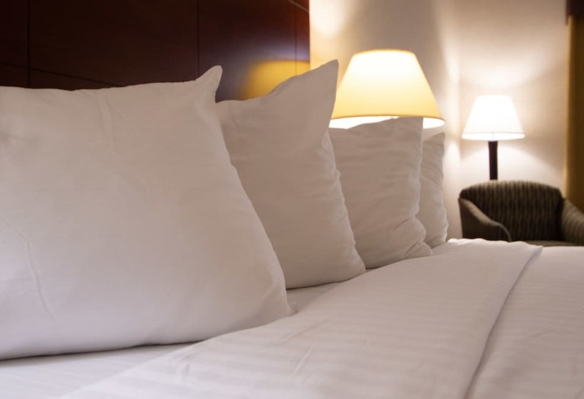 اتاق استاندارد با تخت دوبل برای معلولان, Holiday Inn Express Hotel & Suites Manteca, An Ihg