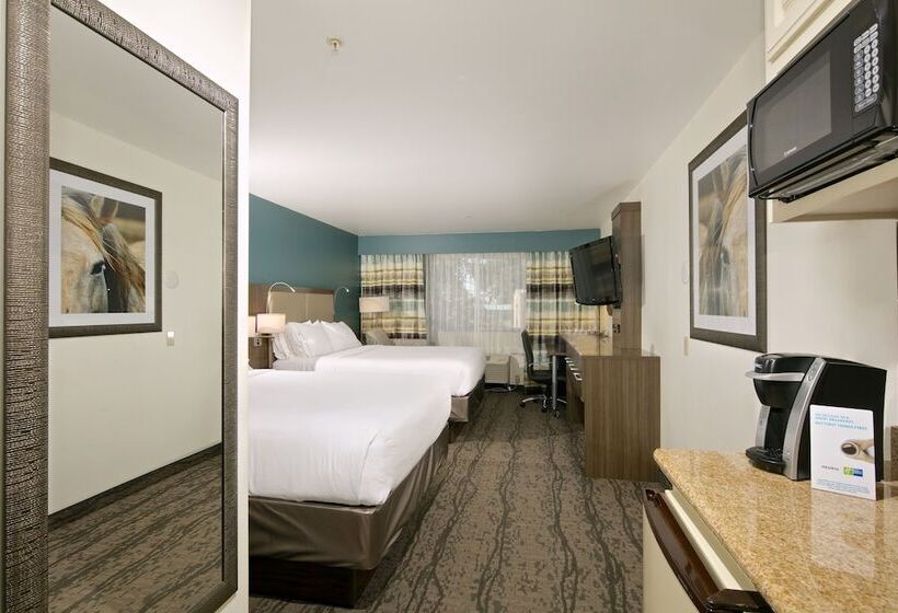 اتاق استاندارد با 2 تخت دوبل, Holiday Inn Express  & Suites  Paso Robles