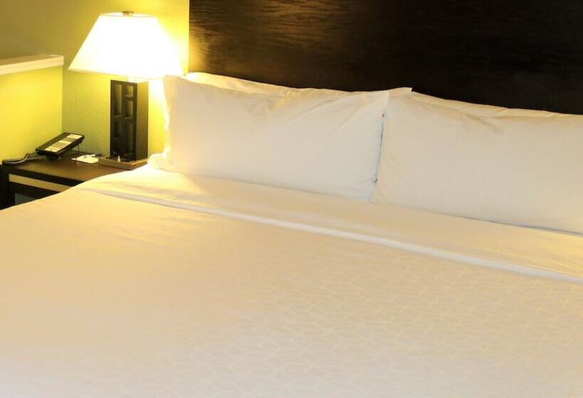 اتاق استاندارد, Holiday Inn Express Berkeley, An Ihg