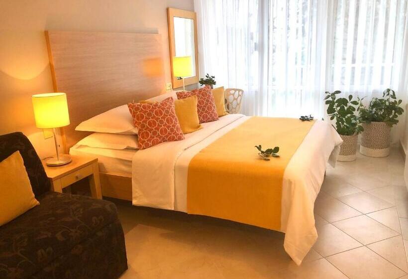 اتاق اکونومی, Waterman Svpetrvs Resort  All Inclusive
