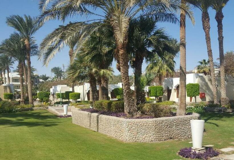 بانگلوی استاندارد, Zya Regina Resort And Aqua Park Hurghada