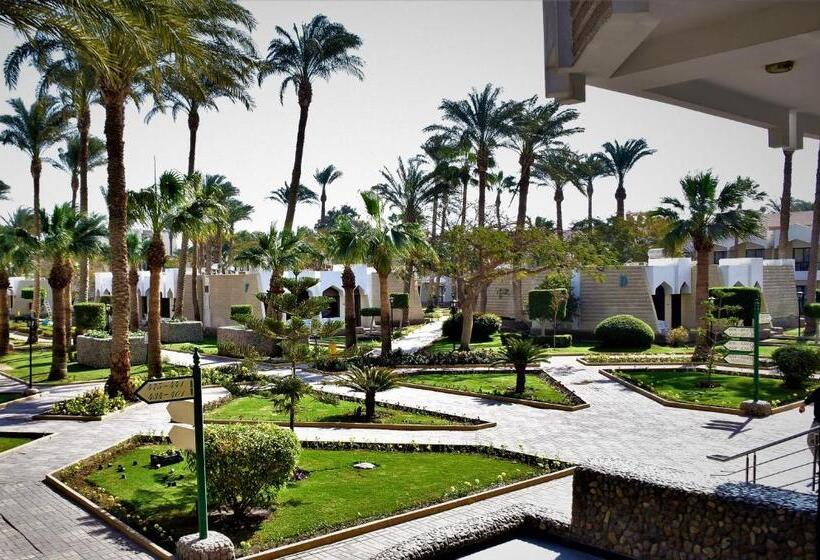 اتاق سوپریور با چشم‌انداز استخر, Zya Regina Resort And Aqua Park Hurghada