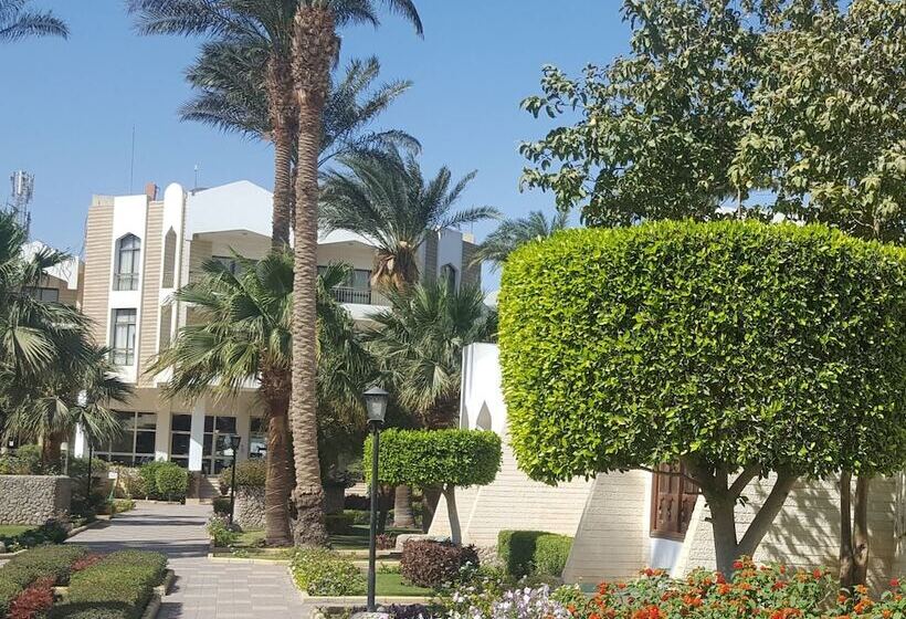 بانگلوی استاندارد, Zya Regina Resort And Aqua Park Hurghada