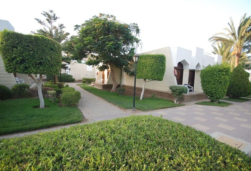 اتاق استاندارد با چشم‌انداز باغ, Zya Regina Resort And Aqua Park Hurghada