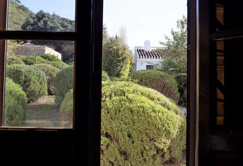 اتاق استاندارد, Fuente Del Sol