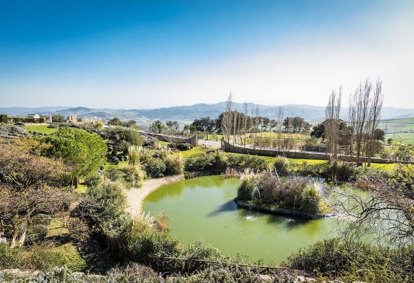 اتاق اکونومی, Fuente Del Sol