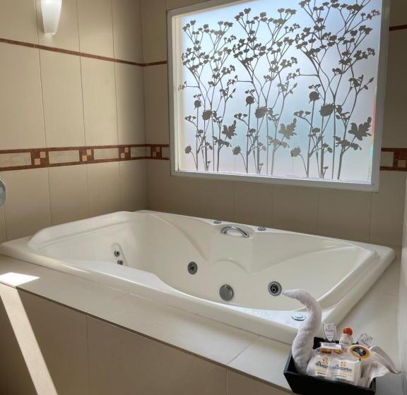 豪华套房, Centro Hotel Villa Las Margaritas