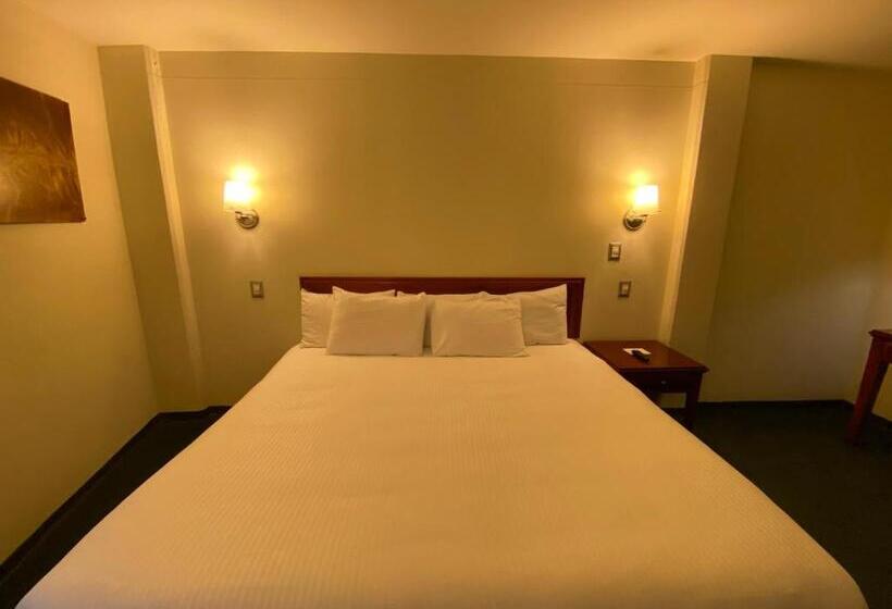 اتاق استاندارد با تخت بزرگ, Enterprise Inn Poliforum