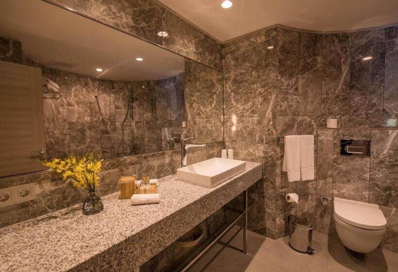 سوییت اجرایی, Patara Prince Hotel & Resort   Special Category