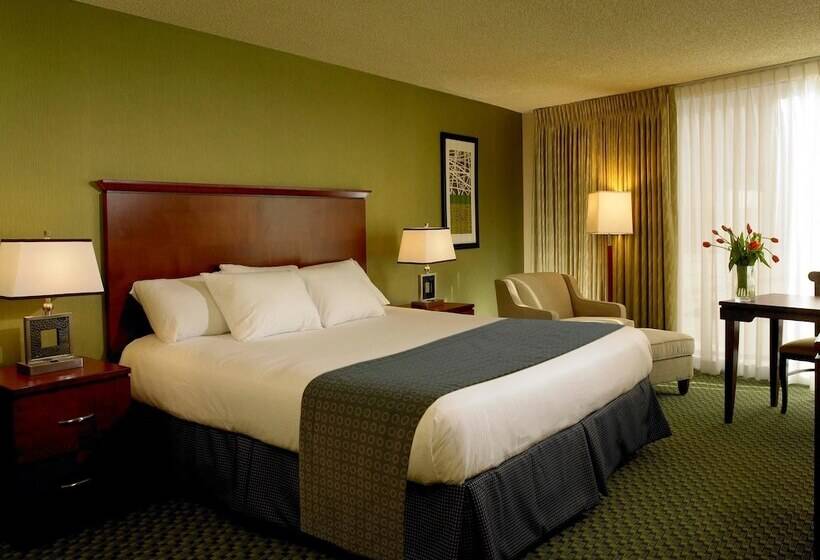 اتاق لوکس, The Aquarius Casino Resort, Bw Premier Collection
