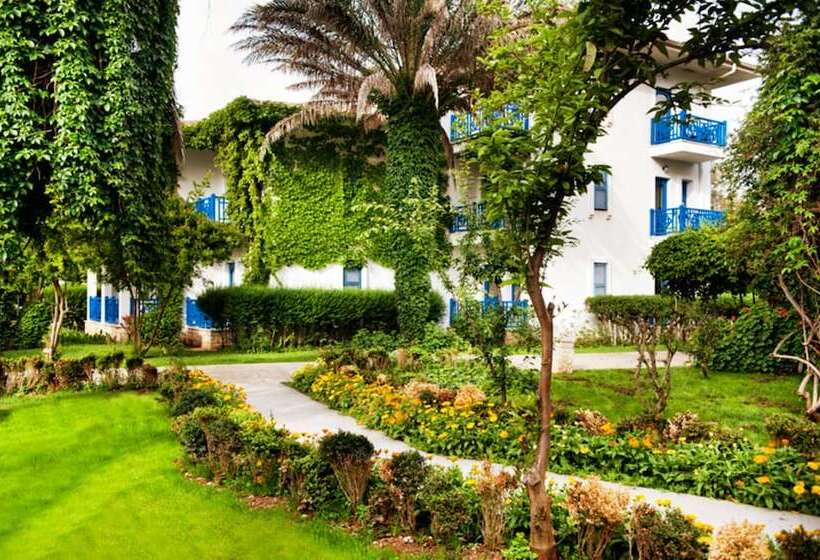 اتاق خانوادگی, Belconti Resort