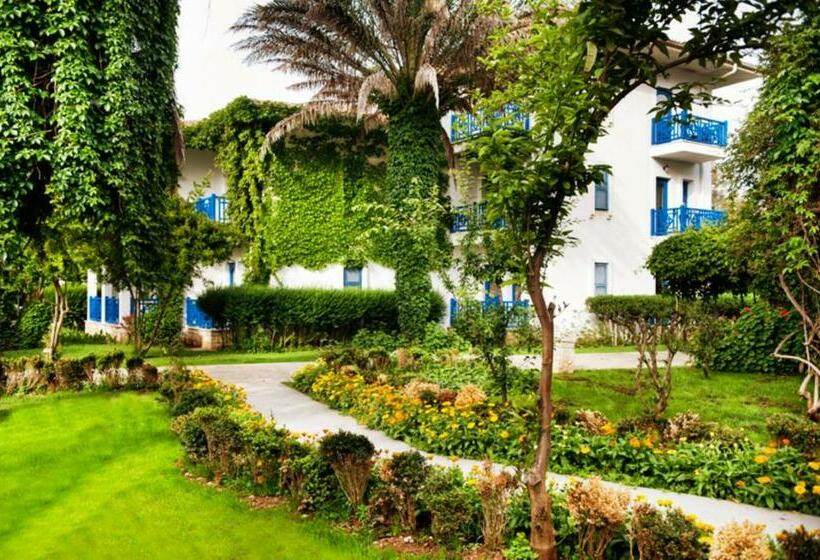 اتاق کلاب, Belconti Resort
