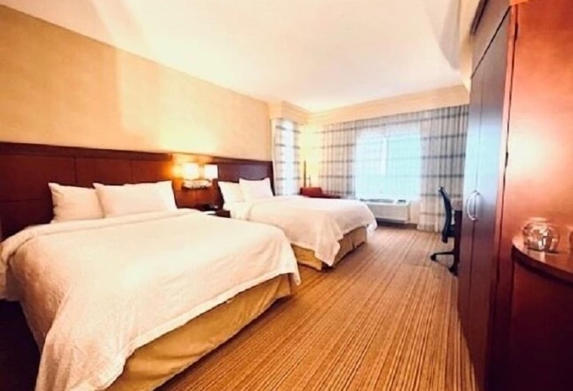 اتاق لوکس, Courtyard Boston South Boston
