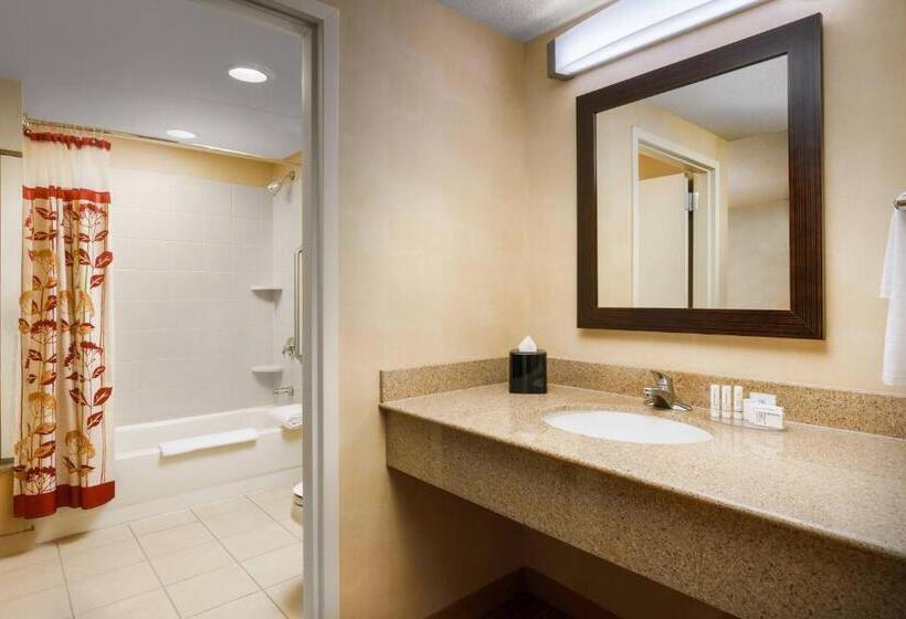 سوئیت با تخت بزرگ, Courtyard Boston South Boston