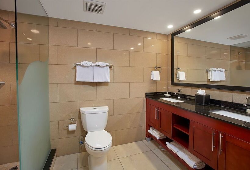 استودیوی استاندارد, Divi Village Golf and Beach Resort