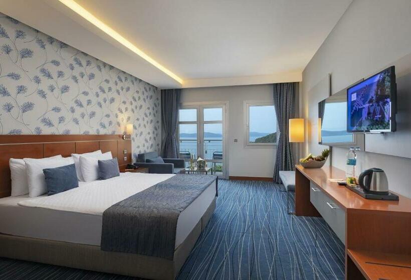 اتاق استاندارد, Duja Bodrum