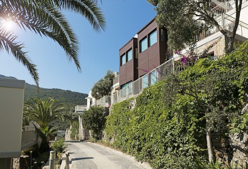 اتاق استاندارد, Duja Bodrum