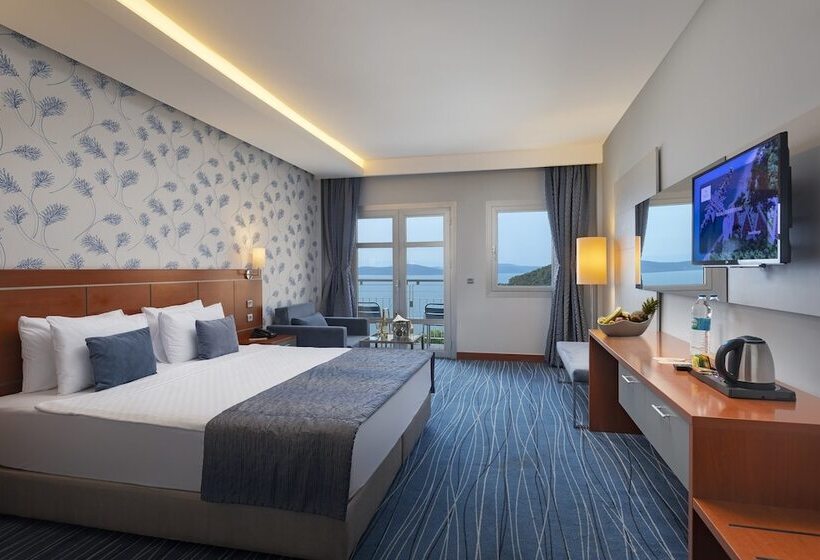 اتاق استاندارد, Duja Bodrum