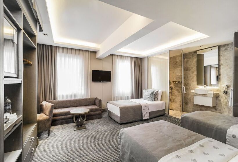 اتاق استاندارد سه نفره, Grand Beyazit Hotel Old City