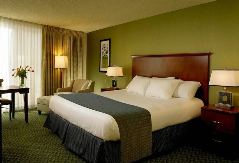 اتاق لوکس, The Aquarius Casino Resort, Bw Premier Collection