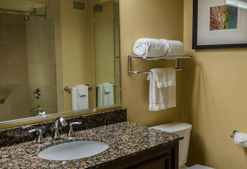 اتاق لوکس, The Aquarius Casino Resort, Bw Premier Collection