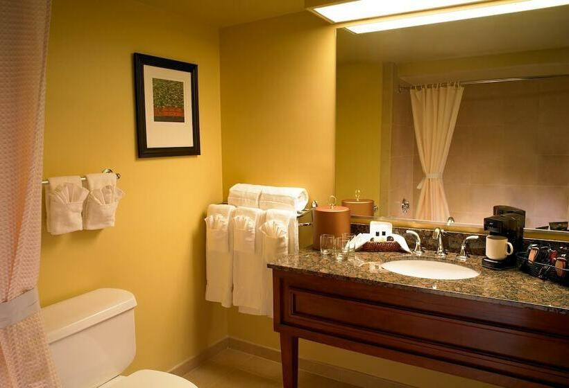 اتاق لوکس, The Aquarius Casino Resort, Bw Premier Collection