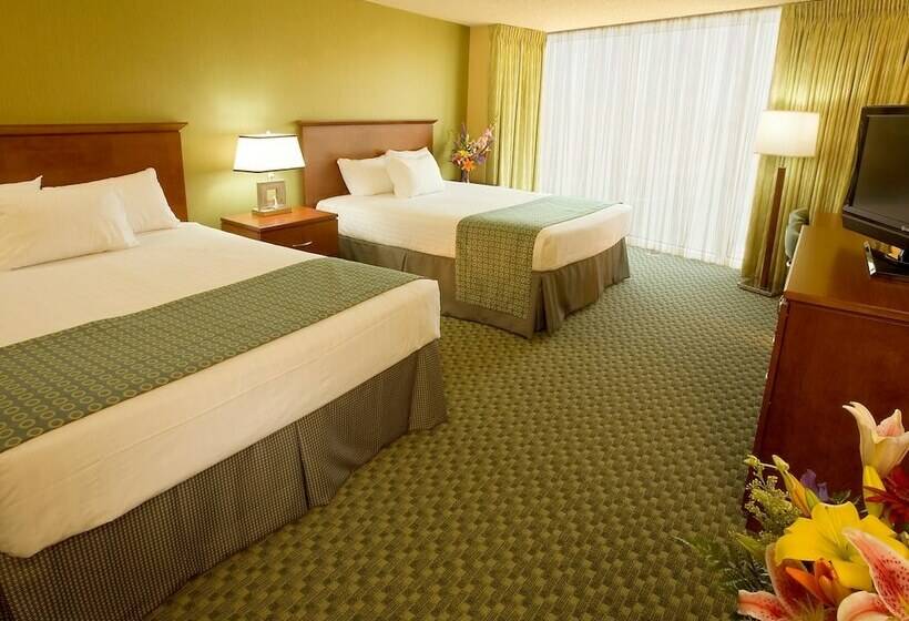 Standard Room 2 Double Beds, Aquarius Casino Resort