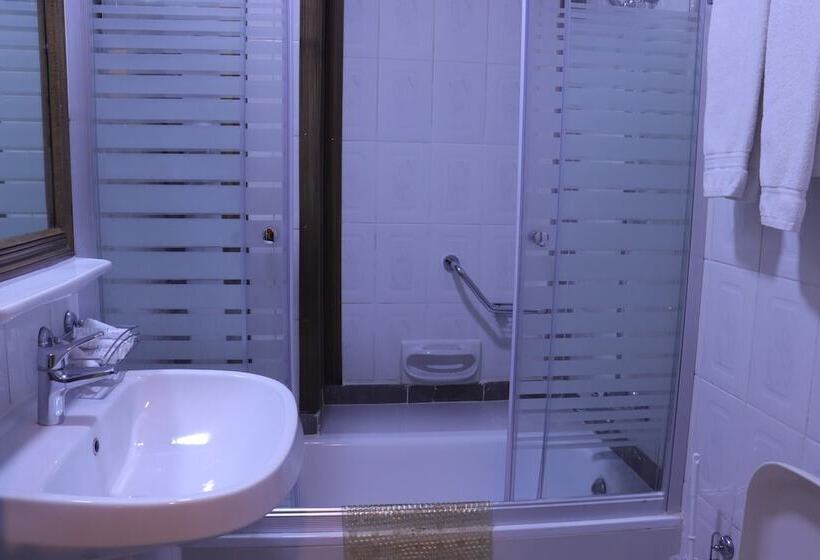 اتاق استاندارد یک نفره, Amra Palace International