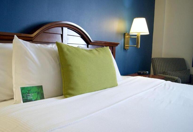 חדר סטנדרט עם מיטת קינג, Best Western Plus Los Mochis