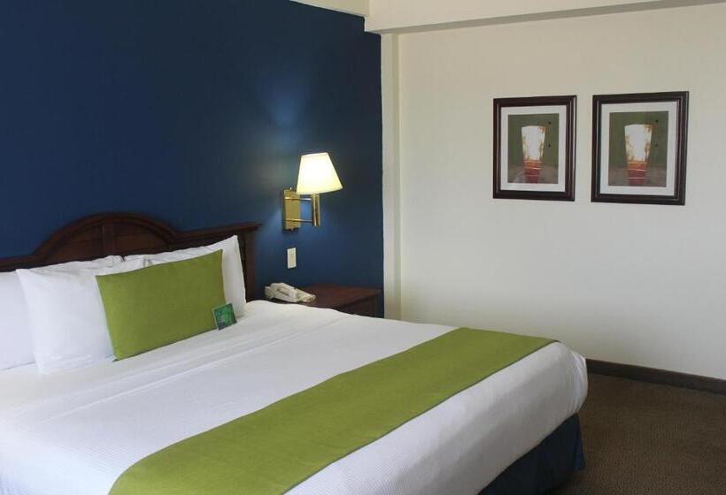 מיטת קינג בסוויטה, Best Western Plus Los Mochis